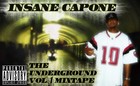 Picture for song 'My Destiny (feat. Bri-J)' by artist 'Insane Capone'