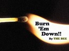 Picture for song 'Burn 'Em Down (Preview)' by artist 'Its The Bee'