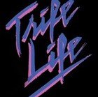 Picture for song 'Life is Trife Beat (Prod. By MVP)' by artist 'its the MVP'