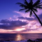 Picture for song 'Praia' by artist 'IVPlay Beats'