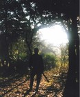 Picture for song 'Passin' Through' by artist 'Jak Kelly'