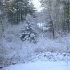 Picture for song 'New Year's Eve' by artist 'Jason Gianfriddo'