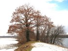 Picture for song 'Ringing (Winter Edit)' by artist 'Jennifer Deann Scott'