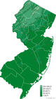 Picture for song 'New Jersey sh***' by artist 'Jerkins'