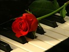 Picture for song 'Roses On The Piano Feat. Bake Reary' by artist 'J Herrera'