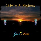 Picture for song 'It Just Feels That Way' by artist 'Jim O'Baid'