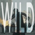 Picture for song 'Wild (Ft. Darky)' by artist 'JL Ortega Beatz'