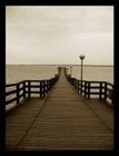 Picture for song '11 ORGANIK' by artist 'JOAO PEDRO FERRAZ'
