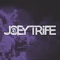 Picture for song 'Mercury' by artist 'Joey Trife'