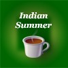 Picture for song 'Indian Summer' by artist 'Johnny Free and the Green Teas'