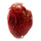 Picture for song 'love is (collaboration)' by artist 'John Vadas'