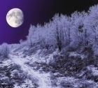 Picture for song 'Greensleeves - Lasse-Finn-Morten-Anne' by artist 'Jonsson'