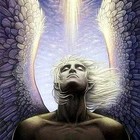 Picture for song 'Warrior For Love' by artist 'Josiah Barlow'