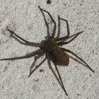 Picture for song 'Warn Ya (Free Download)' by artist 'jStudios'