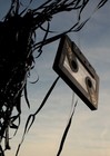 Picture for song 'stick to the plan (2007)' by artist 'Juveous'