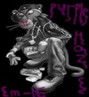 Picture for song 'EM-16 - Purple Haze' by artist 'Kamul Productions'
