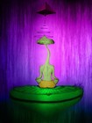 Picture for song 'KashleRec. - Mushroom Mantr' by artist 'KashleRec.'