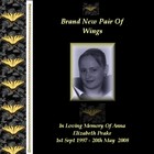 Picture for song 'I Learned' by artist 'Katie Irish Songbird Jr'