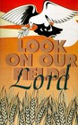 Picture for song 'Look on Our Fields, LORD (#1)' by artist 'KB Chan'