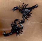 Picture for song 'Drop the beat' by artist 'kengy'