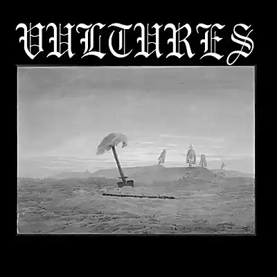 Picture for song 'Vultures' by artist 'KEVINBDOPE'