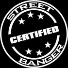 Picture for song 'Certified (FREE D/L)' by artist 'KING EC'