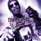 Picture for song 'Trippy Mane *FreeDL*' by artist 'Klimax Productions'