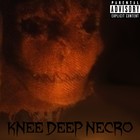 Picture for song 'Deep Inside the Woods' by artist 'Knee Deep Necro'