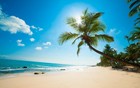 Picture for song 'Caribbean Delight' by artist 'Knu-1'