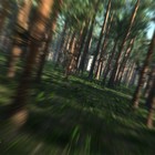 Picture for song 'Forrest' by artist 'K.O. Beats Productions'