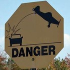 Picture for song 'Fair Warning Freestyle' by artist 'Kryptical420'