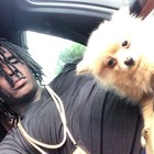 Picture for song 'Take Errythang (TRAP JOINT) *FREE DL*' by artist 'K Swisha On The Track'