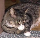 Picture for song 'F%CK YOU n*** INSTRUMENTAL' by artist 'KTO'