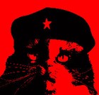 Picture for song 'A Day In The Life Of A Killer' by artist 'KuruptShun'