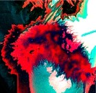 Picture for song 'Chittornia' by artist 'La Barrio Manouche'