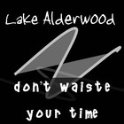 Picture for song 'Don't Waiste Your Time' by artist 'Lake Alderwood'