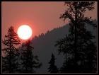 Picture for song 'Go Tell It On The Mountain' by artist 'Larry Whitler'