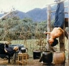 Picture for song '7.Drunken Kung Fu Fighting (intro)' by artist 'Legend Of The Drunken King pt2'