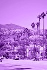 Picture for song '(NEW) Sunset Blvd | 2013' by artist 'LEXI BANKS'