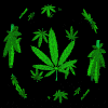 Picture for song 'Fi Em Up' by artist 'Light Skinneded Ent'