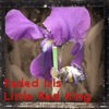 Picture for song 'Faded Iris' by artist 'Little Red King'