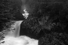 Picture for song 'Black River SOLD' by artist 'LooneyManSlayedIt'