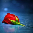 Picture for song 'Unnoticed Lover' by artist 'LouieAndFriends (BEAT PAGE)'