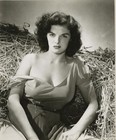 Picture for song 'Sweet Jane' by artist 'Louie's OMB'