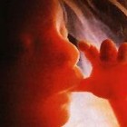 Picture for song 'LIVE LEARN GROW' by artist 'Lox Tha Rippa'