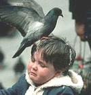 Picture for song 'Bad sh***tin' by artist 'Lucifers Horse'