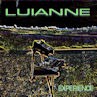 Picture for song 'Experiential' by artist 'Luianne'