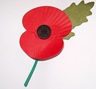 Picture for song 'Flanders' Poppies' by artist 'Malcolm Brown'