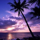 Picture for song 'In Paradise' by artist 'MalekBeats'