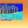 Picture for song 'indian summer' by artist 'man at mouse'